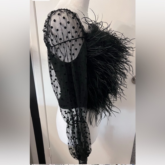 Black Ostrich Feather and Sheer Puff Polka Dot Sleeve Top - NWT - Picture 3 of 3